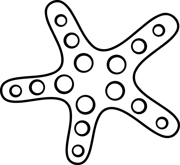 Starfish  PNG Clip art