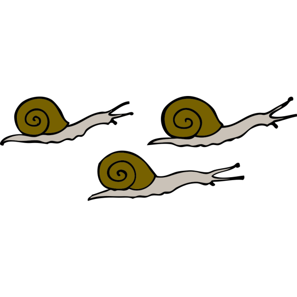 Snails PNG Clip art