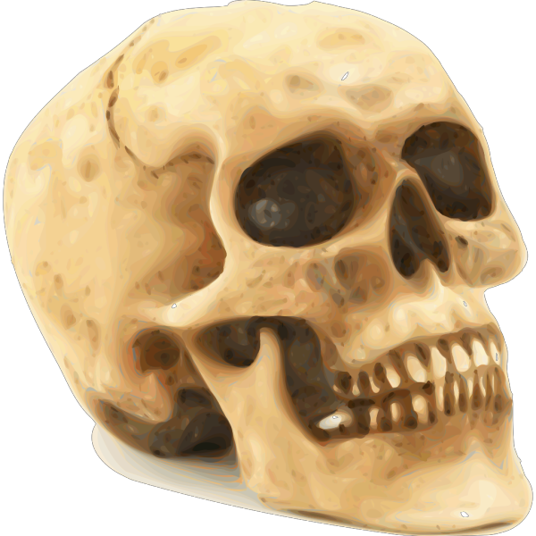 Skull PNG Clip art