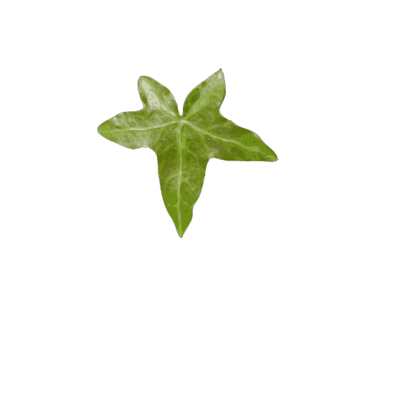 Leafblue PNG Clip art