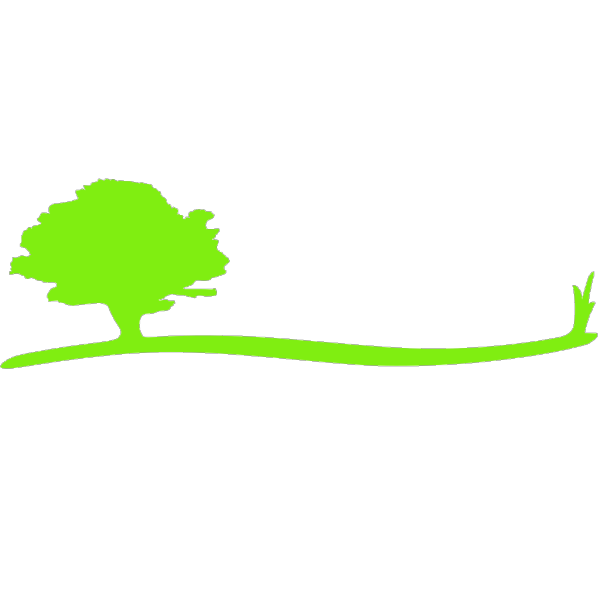 Tree Swoosh Blue Green PNG images