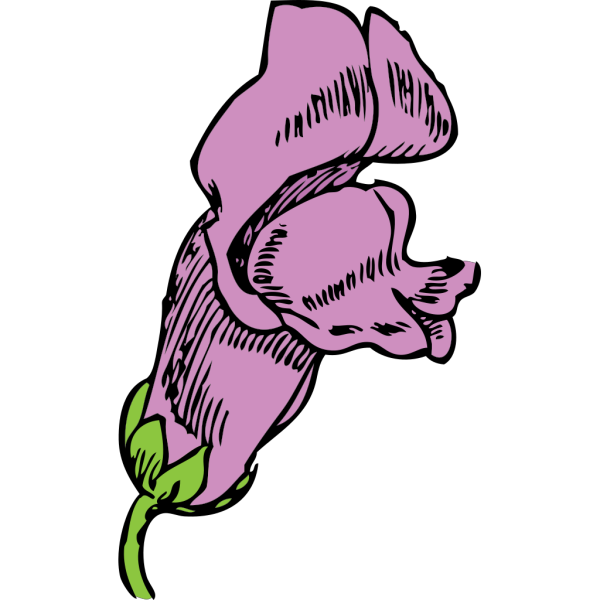 Snapdragon Flower PNG Clip art