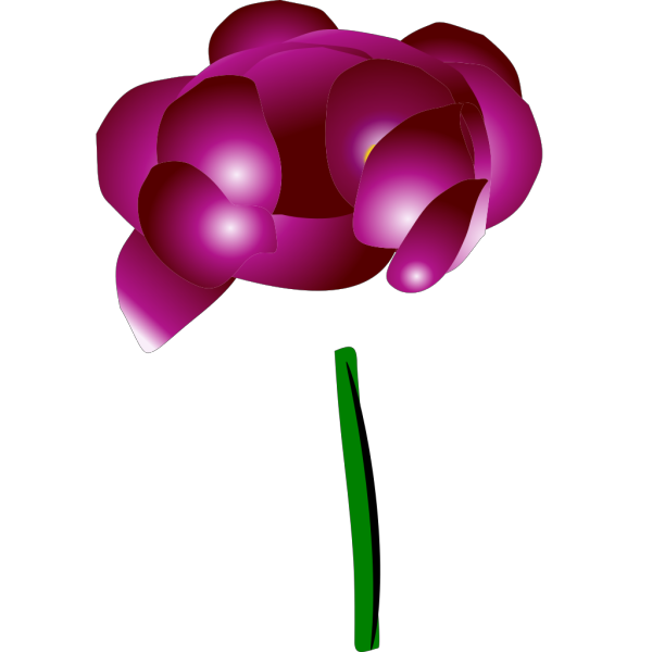 Navy Peony PNG images