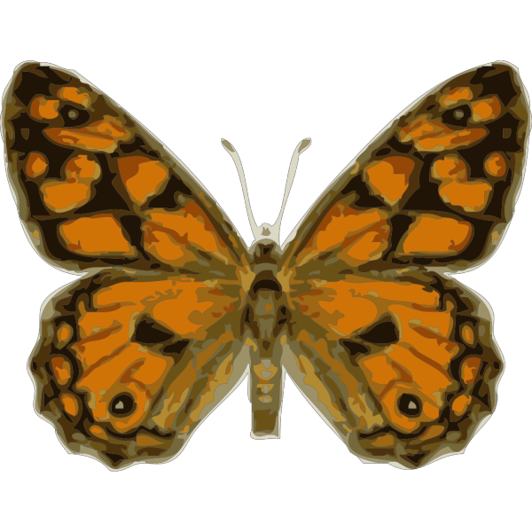 Butterfly PNG images