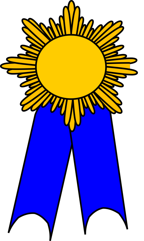 Medallion Of Some Sort PNG Clip art