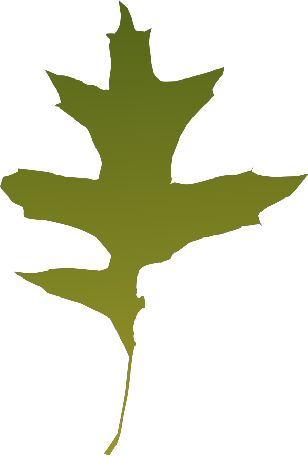 Leaf PNG Clip art