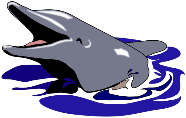 Dolphin Blue PNG Clip art