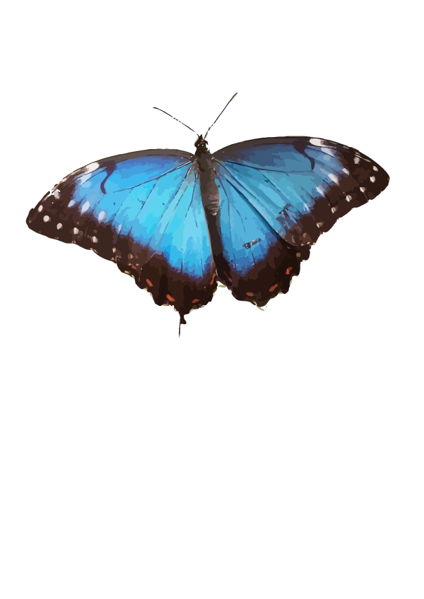 Blue Butterfly Corn PNG Clip art