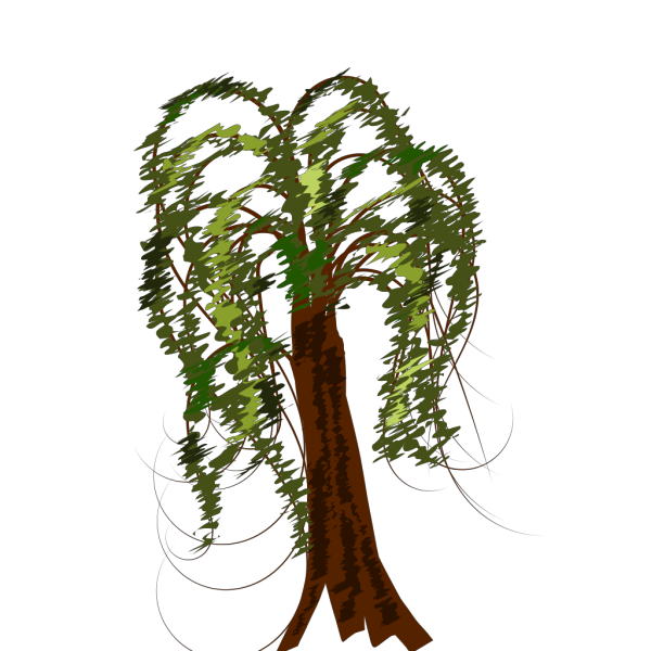 Palm Tree PNG Clip art