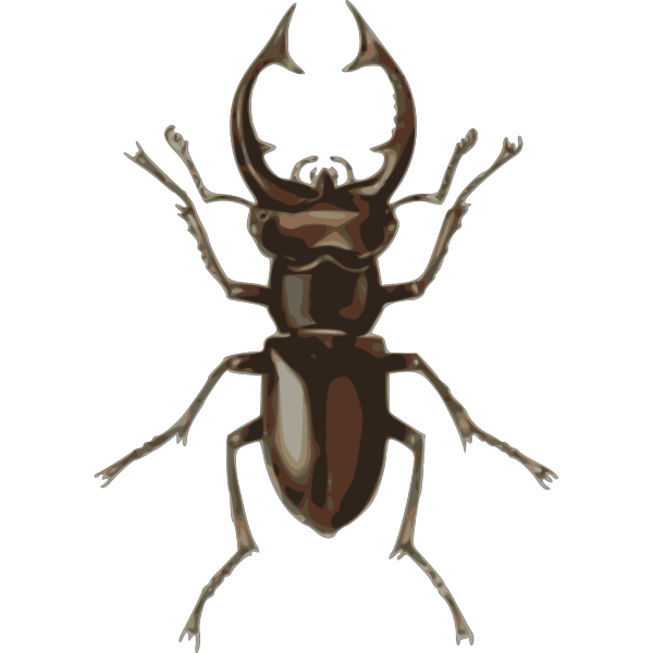 Stag Beetle PNG Clip art