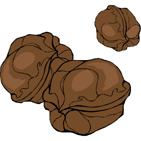 Walnuts PNG Clip art