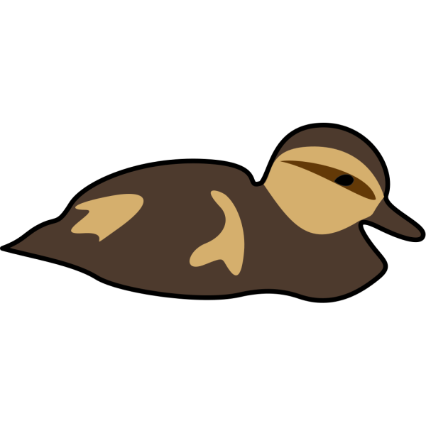 Sutrannu Swimming Duckling PNG Clip art