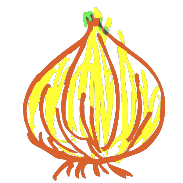 Onion PNG Clip art