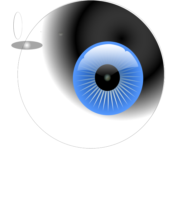 Human Eye 2 PNG Clip art