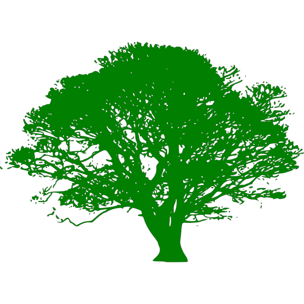 Maple Tree PNG Clip art