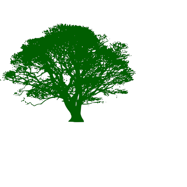 Green Tree PNG Clip art