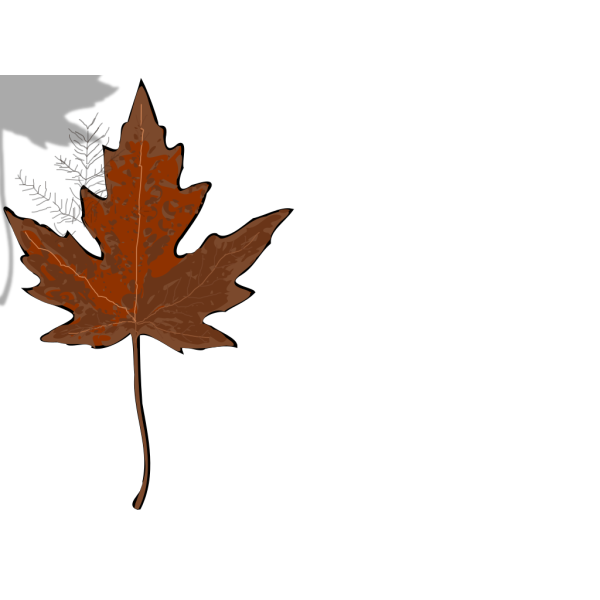 Brown Leaf PNG Clip art