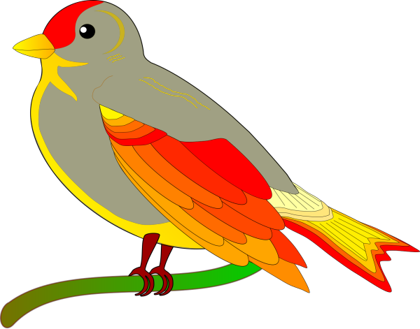 Bird On Branch PNG Clip art