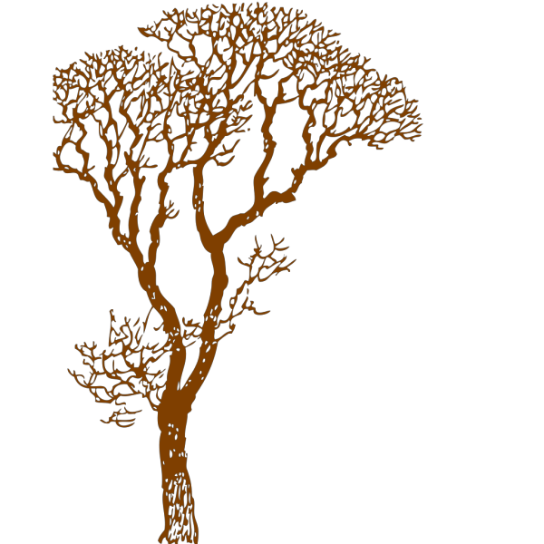 Brown Tree PNG Clip art