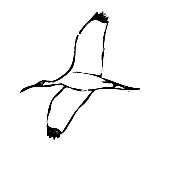 Brown Bird Flying Art PNG Clip art