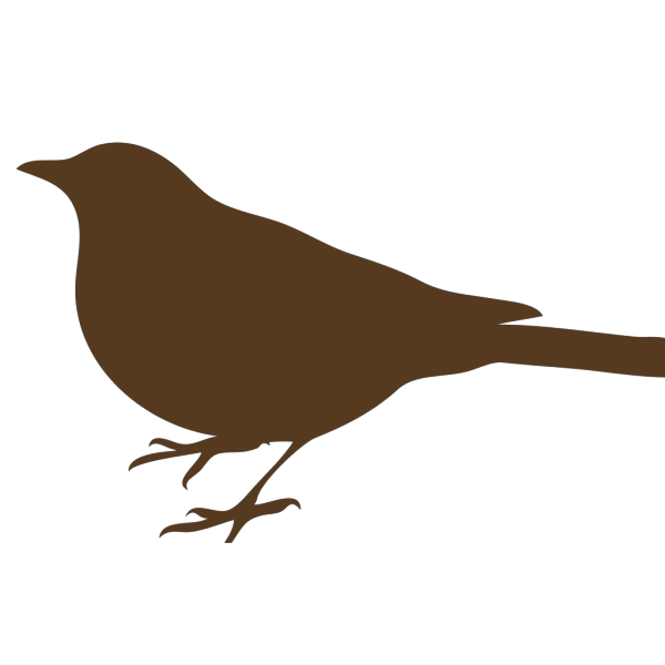 Brown Song Bird  PNG Clip art