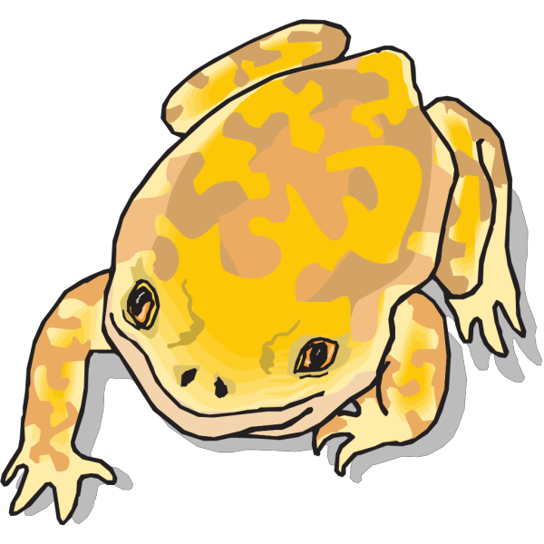 Yellow And Brown Frog PNG Clip art
