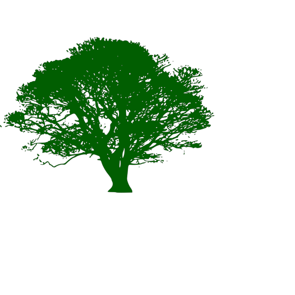 Brown And Green Tree Branch PNG Clip art
