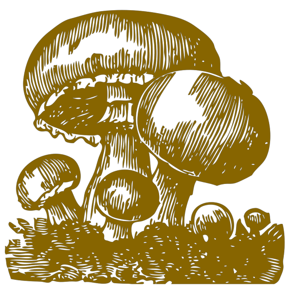 Mushroom-miri PNG Clip art