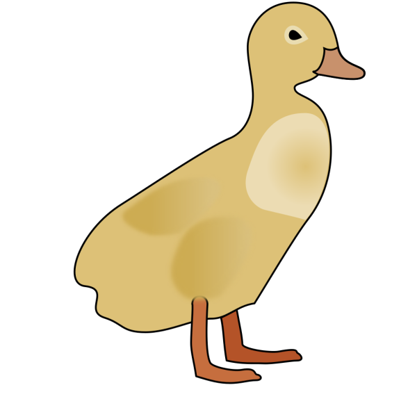 Yellow Duckling PNG Clip art