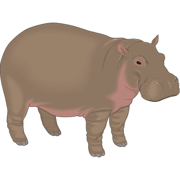 Brown And Purple Hippopotamus PNG images