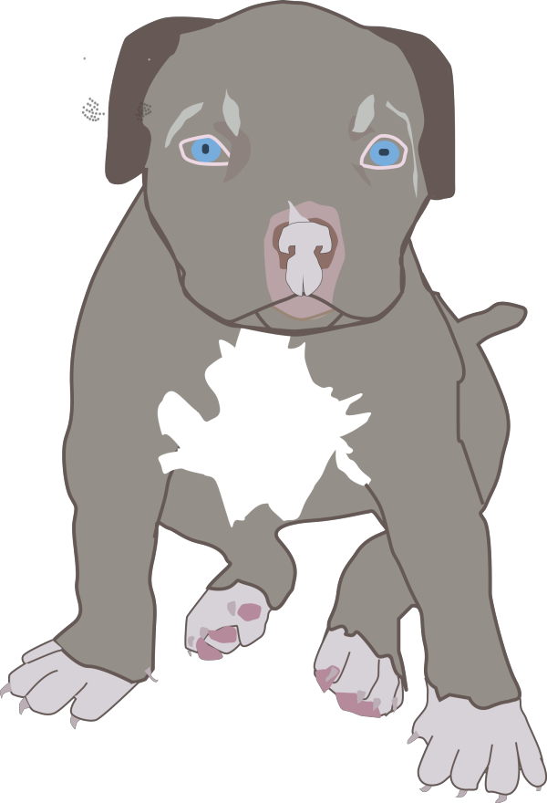 Brown Bull Terrier PNG Clip art