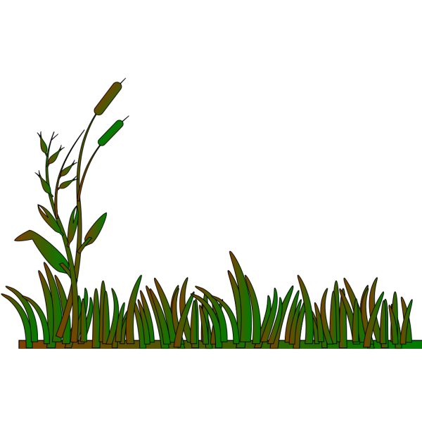 Cattails Outline Green/brown PNG Clip art