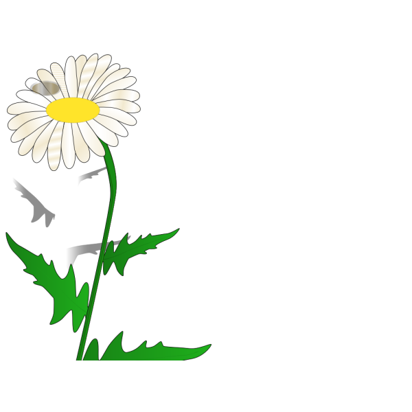 Brown Daisy PNG Clip art