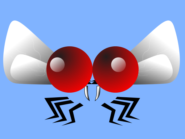 Fly Line Drawing PNG Clip art