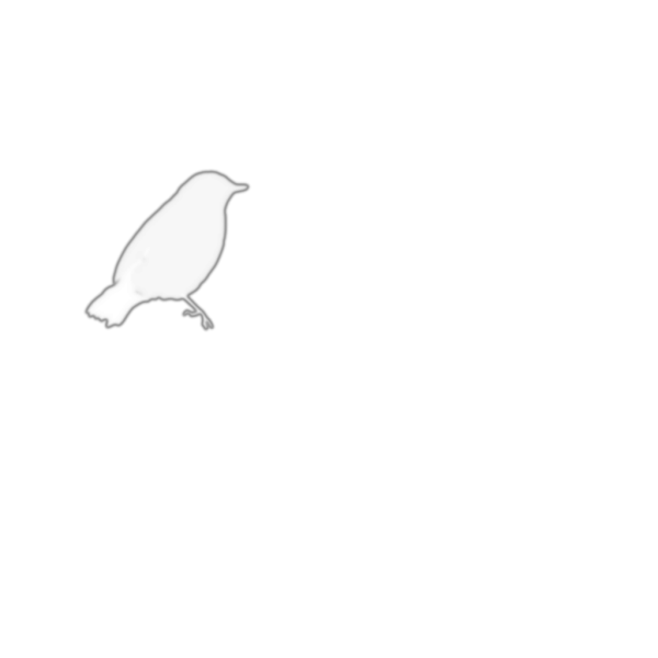 Blackbird PNG images