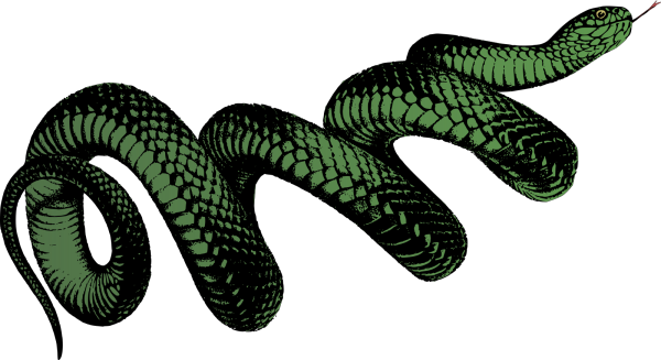 Snake PNG Clip art