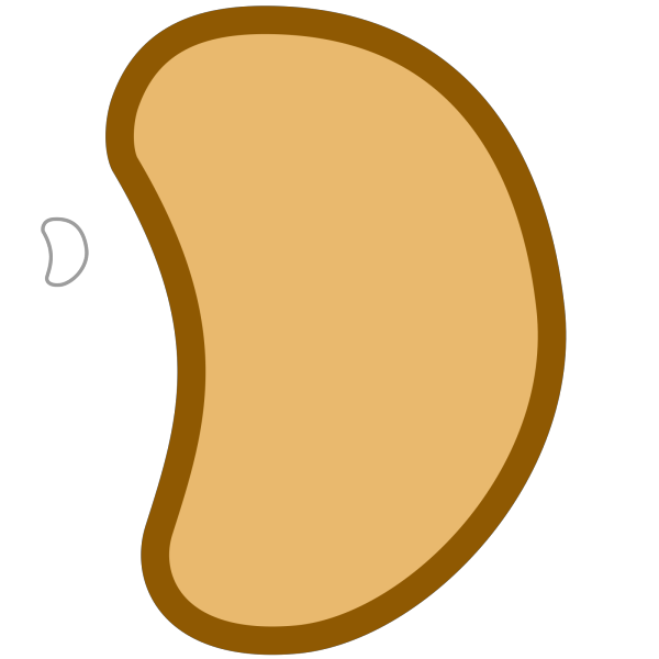 Brown Bean PNG Clip art