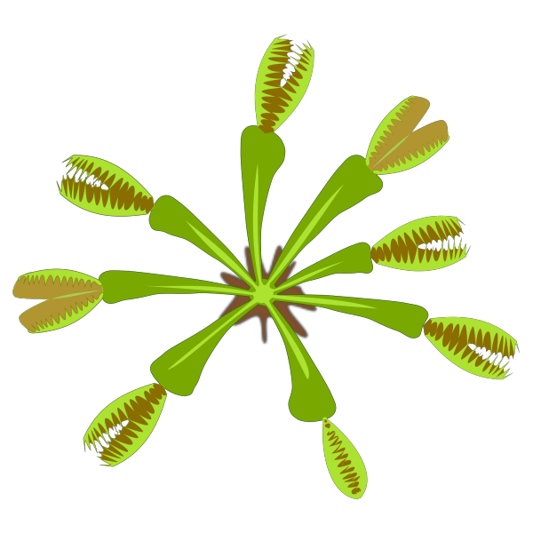 Flora PNG Clip art