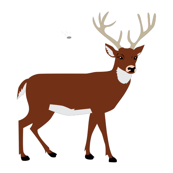 Deer PNG Clip art