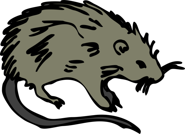 Hedgehog Revised PNG Clip art