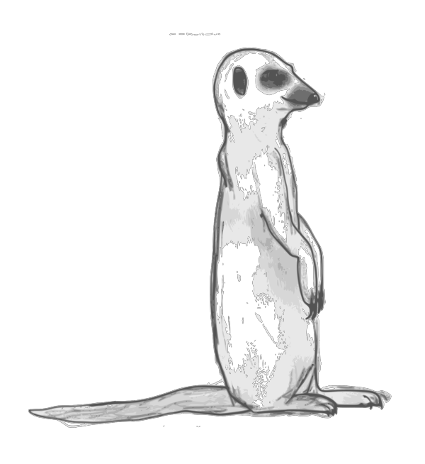 Meerkat PNG Clip art