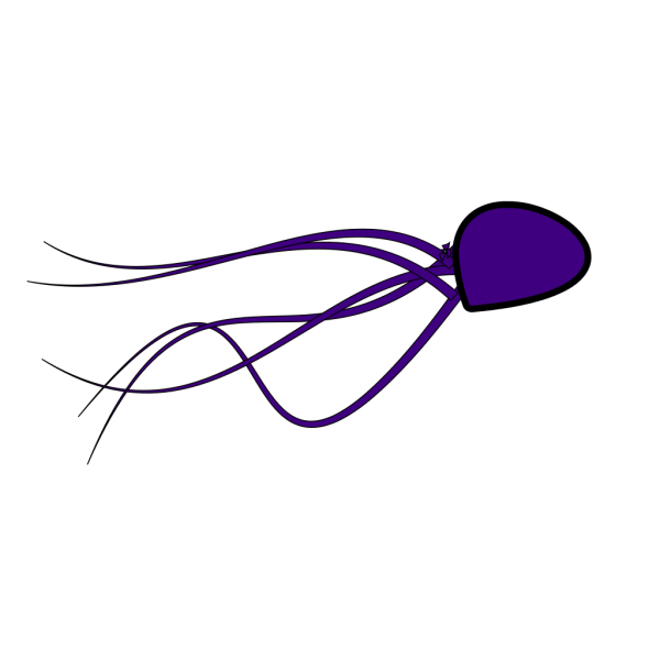 Crankeye Purple Jelly PNG Clip art