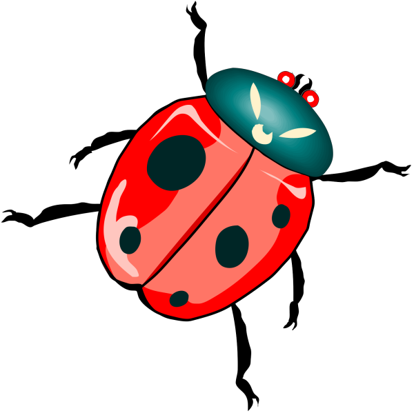 Ladybug Button PNG Clip art