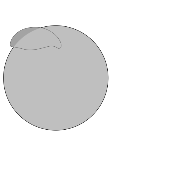 Grey Circle PNG Clip art