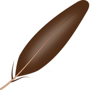 Njiwa Feather PNG Clip art