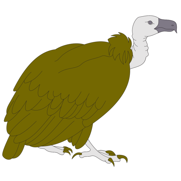 Vulture PNG Clip art