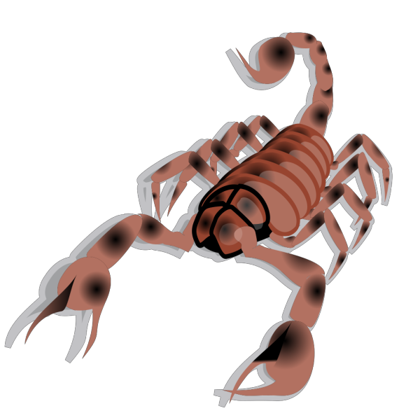 Scorpion PNG images