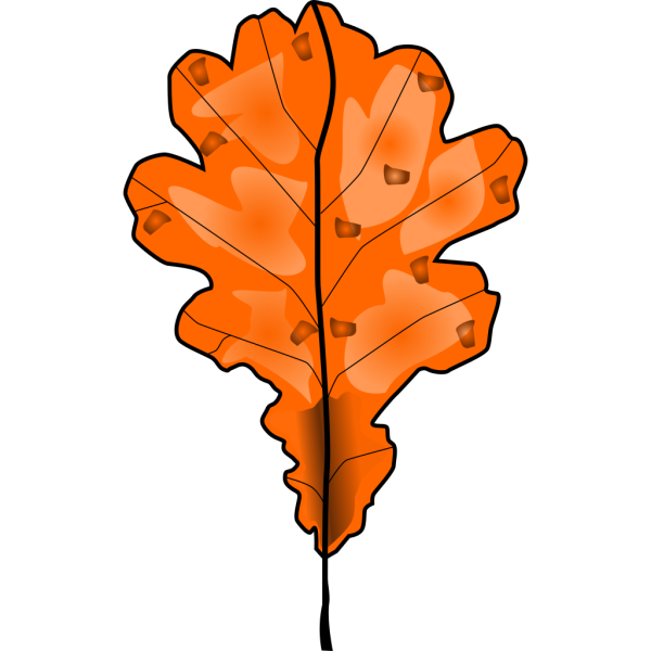 Grape Tree Leaf PNG Clip art