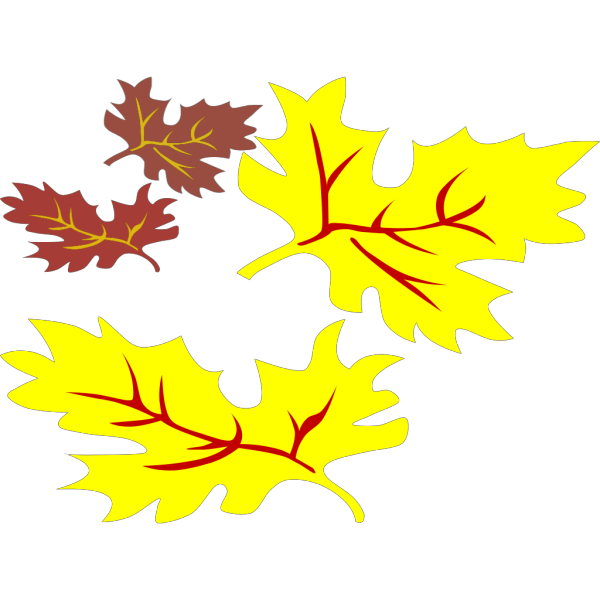 Fall Coloured Leaf PNG Clip art