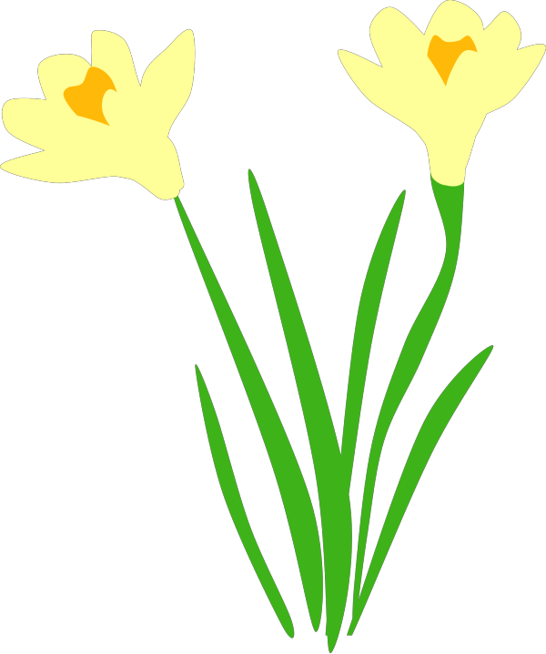 Daffodil PNG Clip art